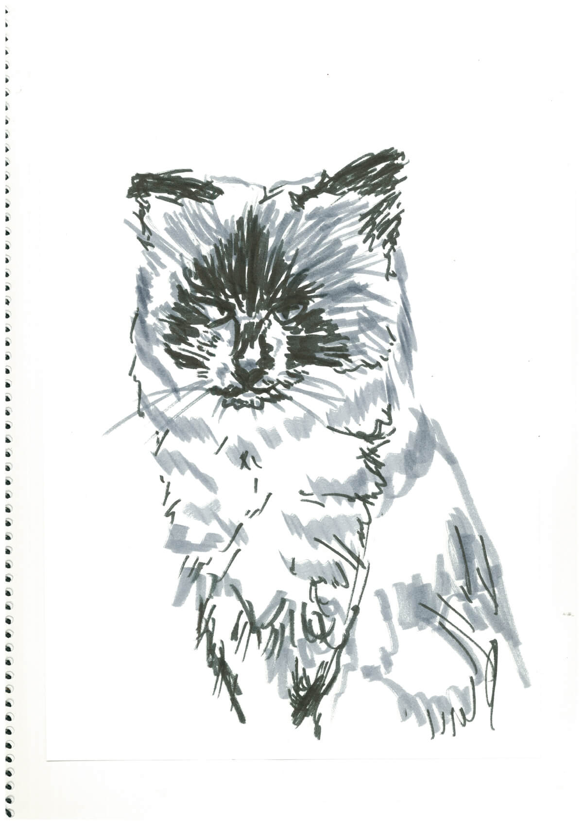 展示用絵画：毛物003 [作者:情報資格試験]