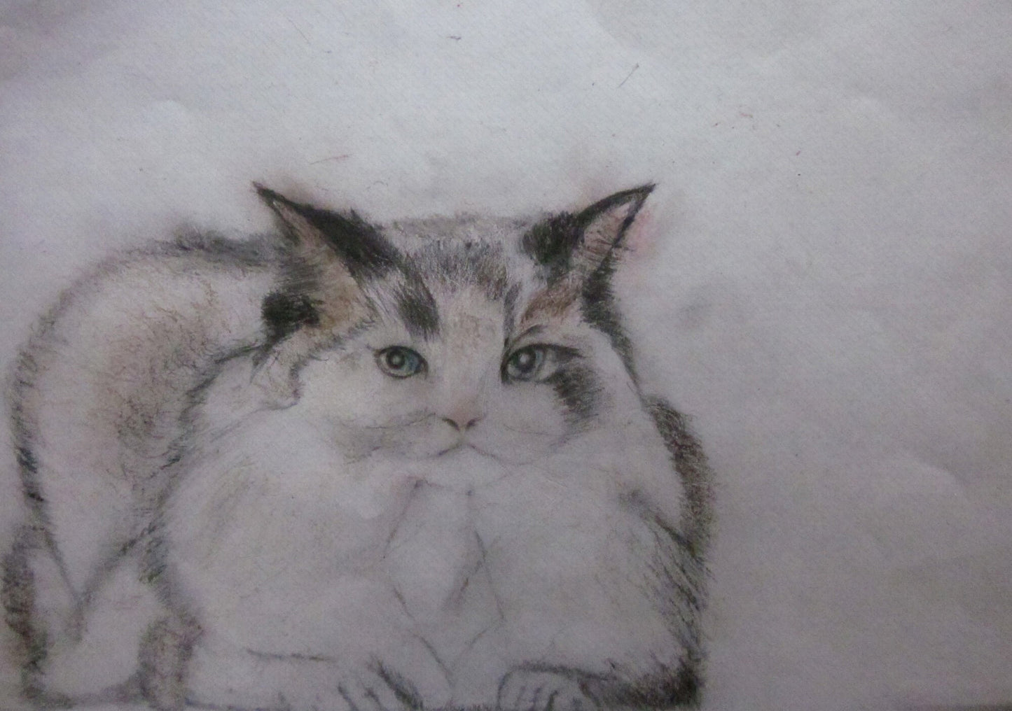 展示用絵画：たたずむ猫 [作者:大久保 英樹]