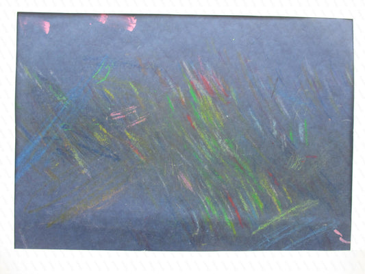 展示用絵画：Shooting  Star [作者:林正幸]
