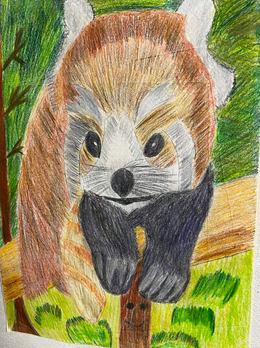 展示用絵画：レッサーパンダ [作者:ロビ太郎]