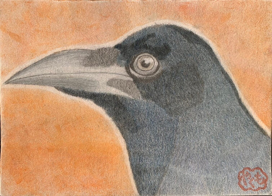 展示用絵画：ミヤマガラス [作者:やくも]