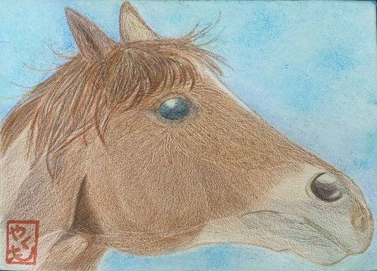 馬 [作者:やくも]