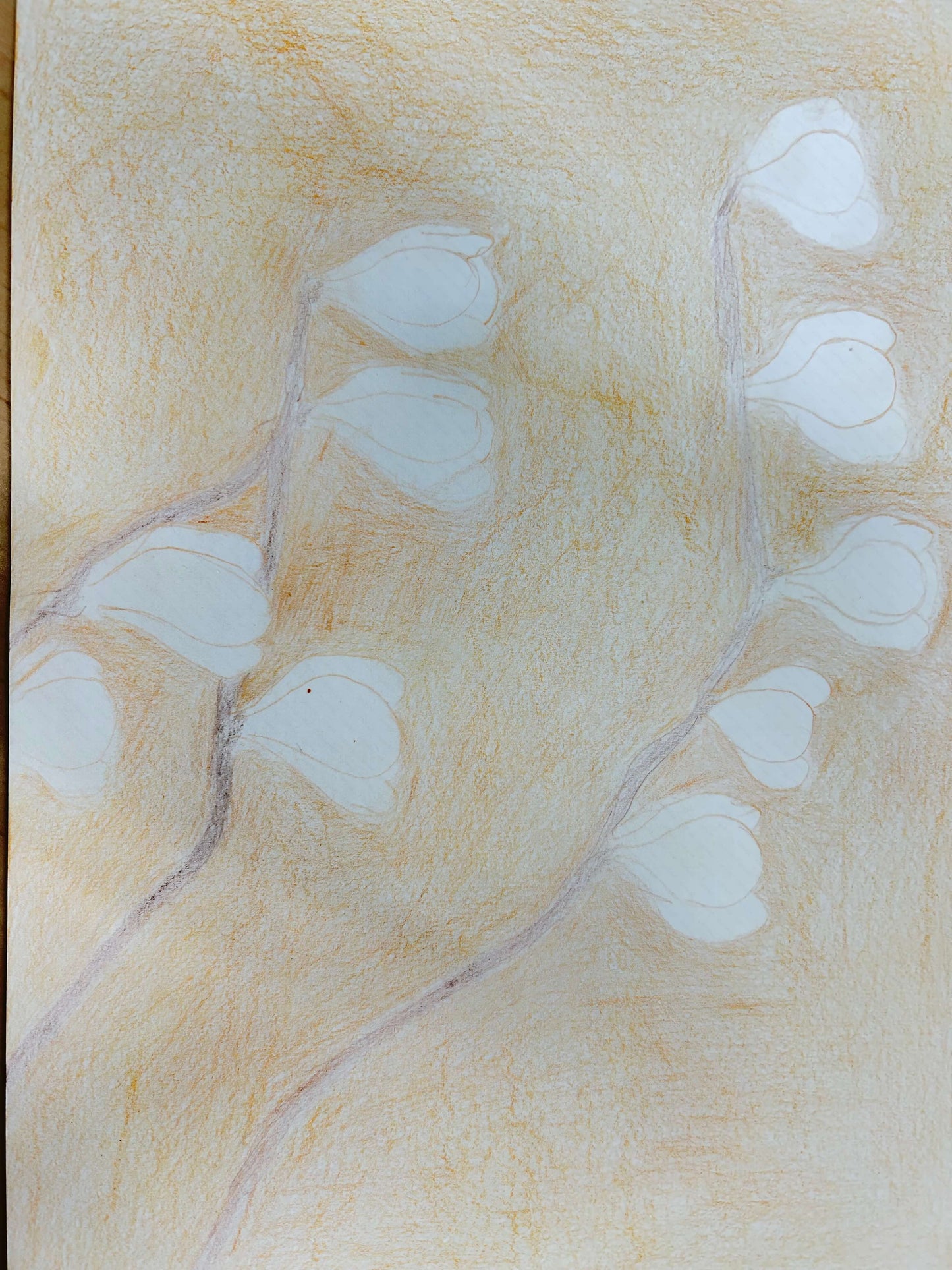 展示用絵画：木蓮 [作者:河野生一]
