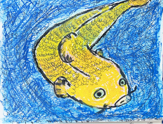 緑内障の目で見る世界〜緑の目の鯉〜 [作者:TOSI]