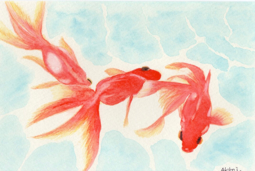 展示用絵画：金魚 [作者:Akiko Iwahara]