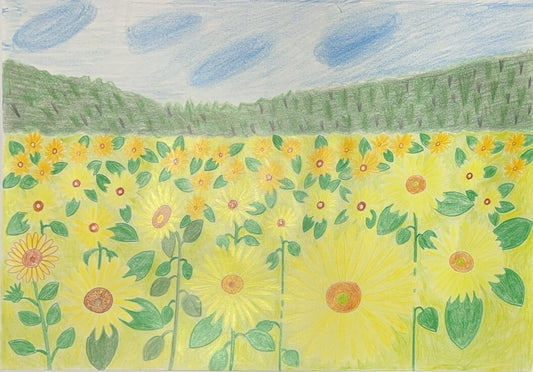 展示用絵画：ひまわり畑 [作者:小森　英子]