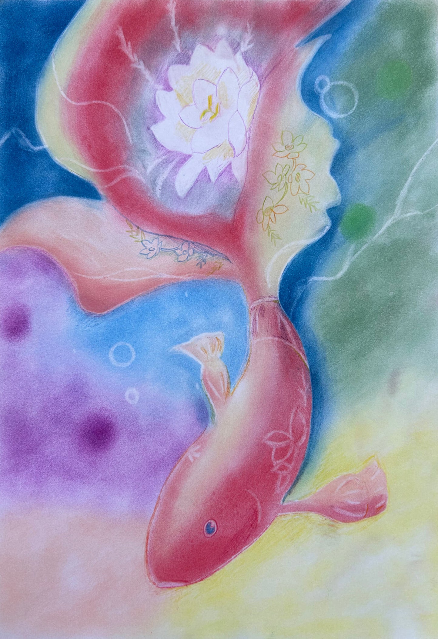 花金魚 [作者:ヤナギ]