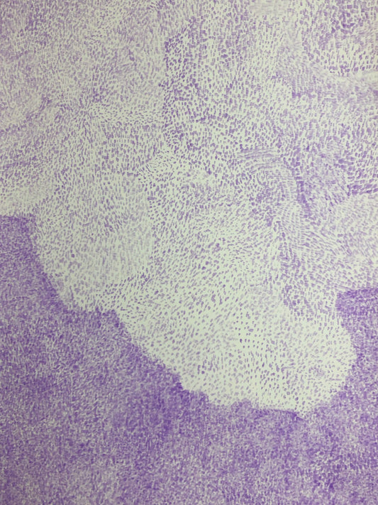 展示用絵画：無題 [作者:新井 藍]