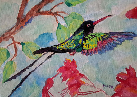 川蝉 [作者:seiya]