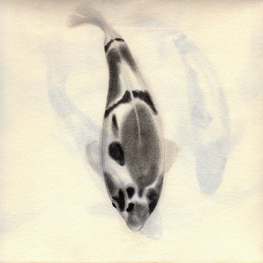 清水悠々 [作者:中野綾]