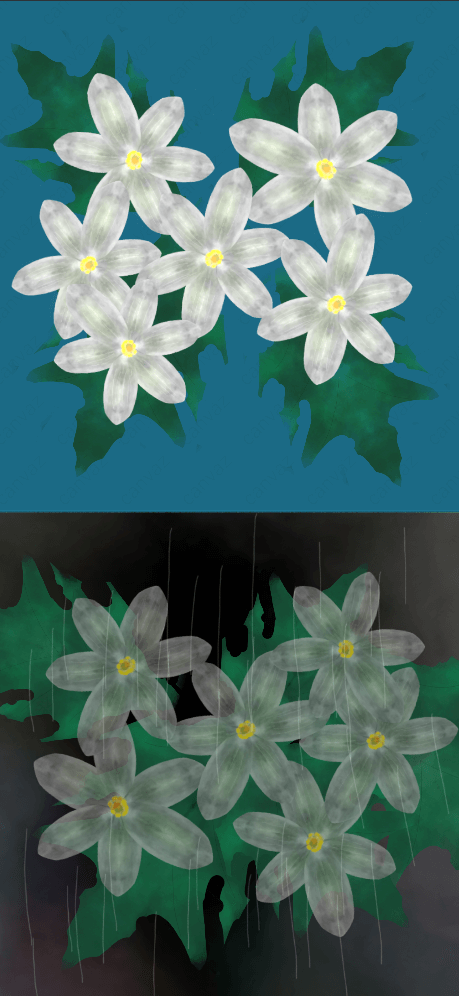 サンカヨウの花 [作者:いろどり]