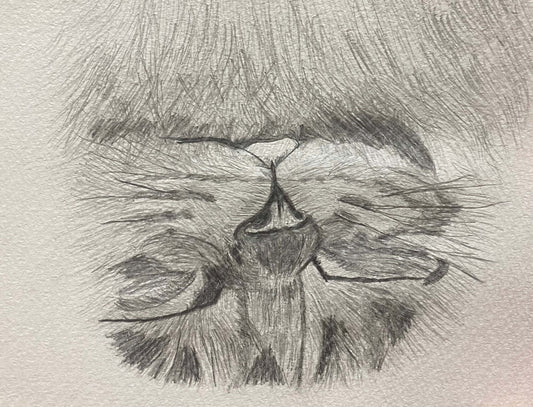 ひざの上で眠る愛猫 [作者:マミードラゴン]